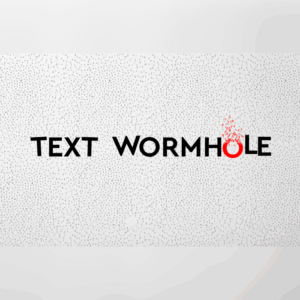 000 202501060915 textwormhole ss 800