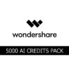 000 202503171358 wondersharecreditspack2