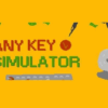 000 202503281802 anykey