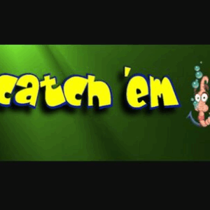 000 202504021657 catchem