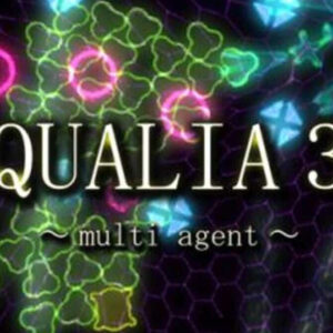 000 202506181306 qualia3big