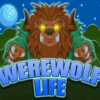 000 202507291253 wl800