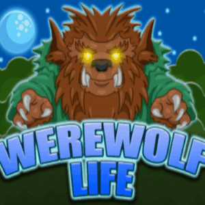 000 202507291253 wl800