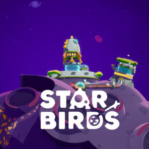 Star Birds PC Steam CD Key