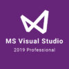 800x700 msvisual19pro