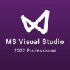 800x700 msvisual22pro