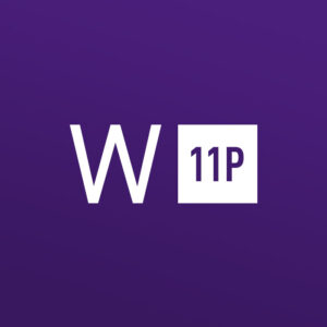 Windows 11 Professional Online Activation 5 Keys Bundle