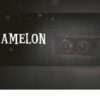 8amelon