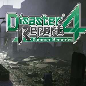 Disaster report hires