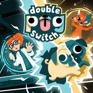 Double pug switch800