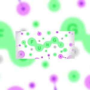 Fungi800