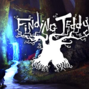 Finding teddy hires