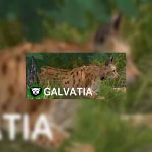 Galvatia80
