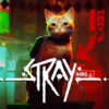 stray800
