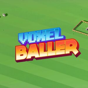 Voxel baller800