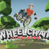 wheelchair800