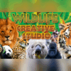 wildlifestudio 2