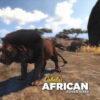 Africa
