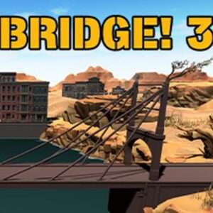 Bridge hires