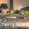 Cherry800