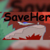 Dave8
