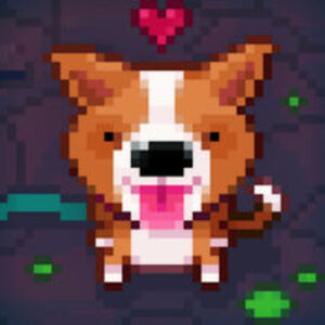 Doge8