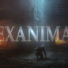 Exan 800