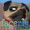 facerigpugjulien800
