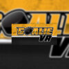 Goalie vr 800