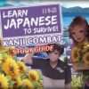Kanjistudy800