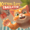 Kittenlife800