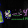 Kitty 800 1