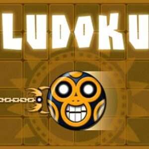 Ludoku8 1