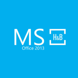 Ms2013hb v2 1