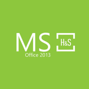 Ms2013hs v2