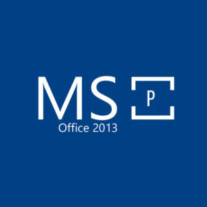 Ms2013p v2