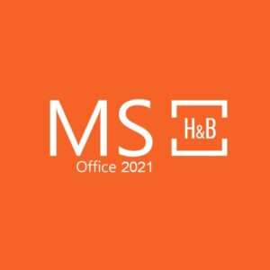 mshbusinessbig
