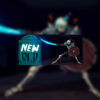 Newold800