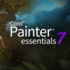 painteressentials2