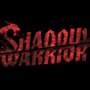Shadow 700 3