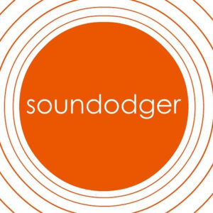 Soundodger+ Steam CD Key