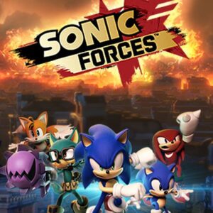 Sonicforces8