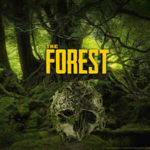 The forest