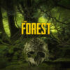 The forest 1 1