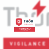 Thorvigi banner hires