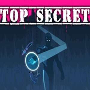 Top secret hires