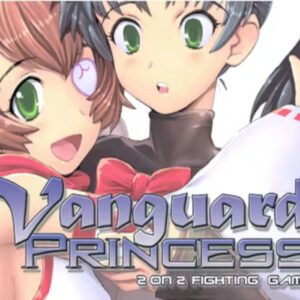 vanguardprinc2