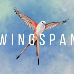 Wingspan8