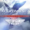 ACECOMBATMaverickUltimate800