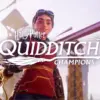 harry potter quidditch champions800